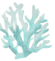 Coral
