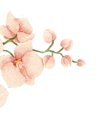 Flores de asistencia