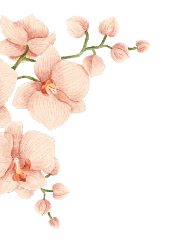 Flores de asistencia